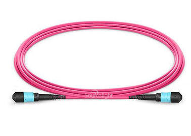China Purple Om4 Purple Mpo Mtp To Lc Fiber Optic Patch Cables Fanout 12 Cores supplier