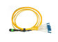 Yellow Breakout Mpo Mtp-Sc Fiber Optic Patch Cord 8 Cores Telcordia Standard supplier